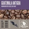Guatemala Antigua 5lb
