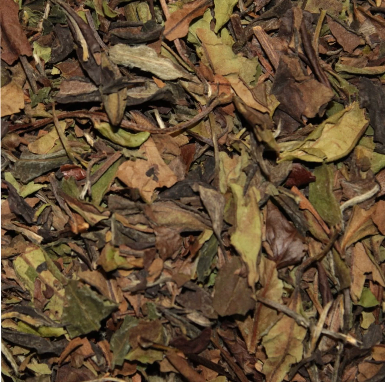 Ashbys® Pai Mu Tan Tea 2lb 1 Ashbys® Pai Mu Tan Tea 2lb