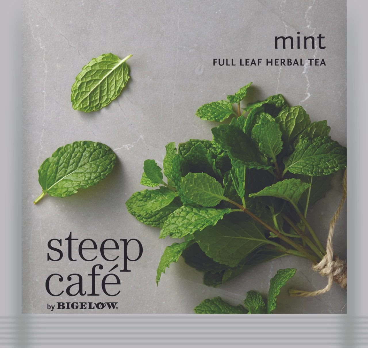 Steep Cafe Mint 50/cs 1 Steep Cafe Mint 50/cs